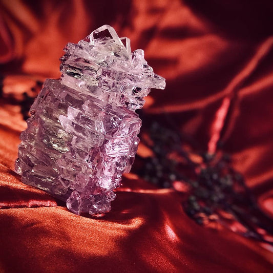 Crystal Herb