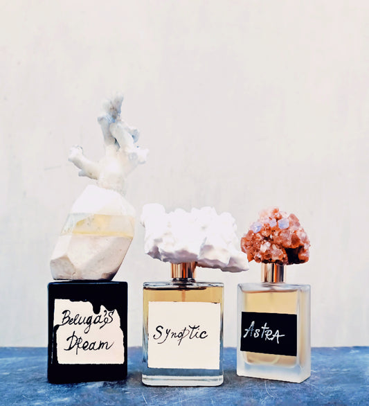 Stone collection perfumes
